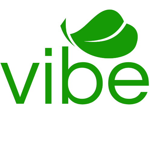 Vibe Srl
